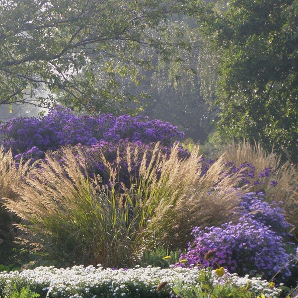 gartengestaltung-ansicht