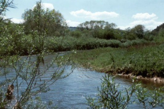 Renaturierung der Donau bei Tuttlingen