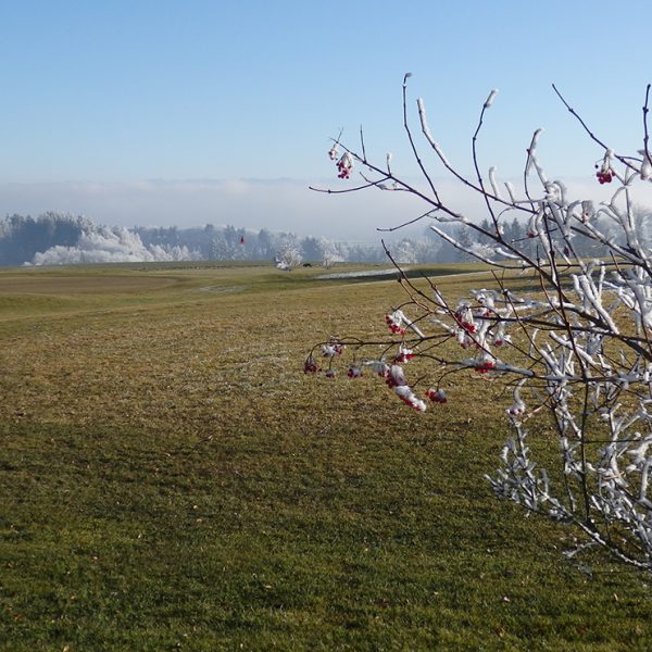 Golfplatz Deggenhauser Tal